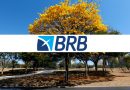 BRB faz parceria com Americanet para a oferta de produtos financeiros e de telefonia