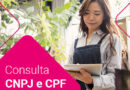 Serasa Experian oferece consulta unificada para análise de risco de clientes CPF e CNPJ