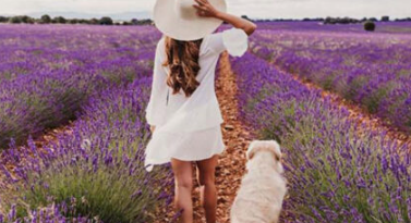 Livelo lança solução para somar pontos entre usuários na emissão de passagens