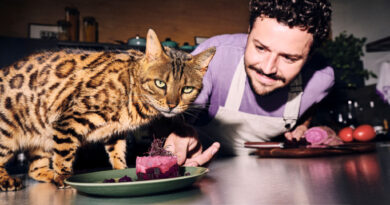 Nubank lança campanha para promover ChatGPT Go gratuito a clientes