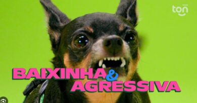 Ton aposta em taxas a partir de 0,57% e Pix sem custo para atrair pequenos empreendedores